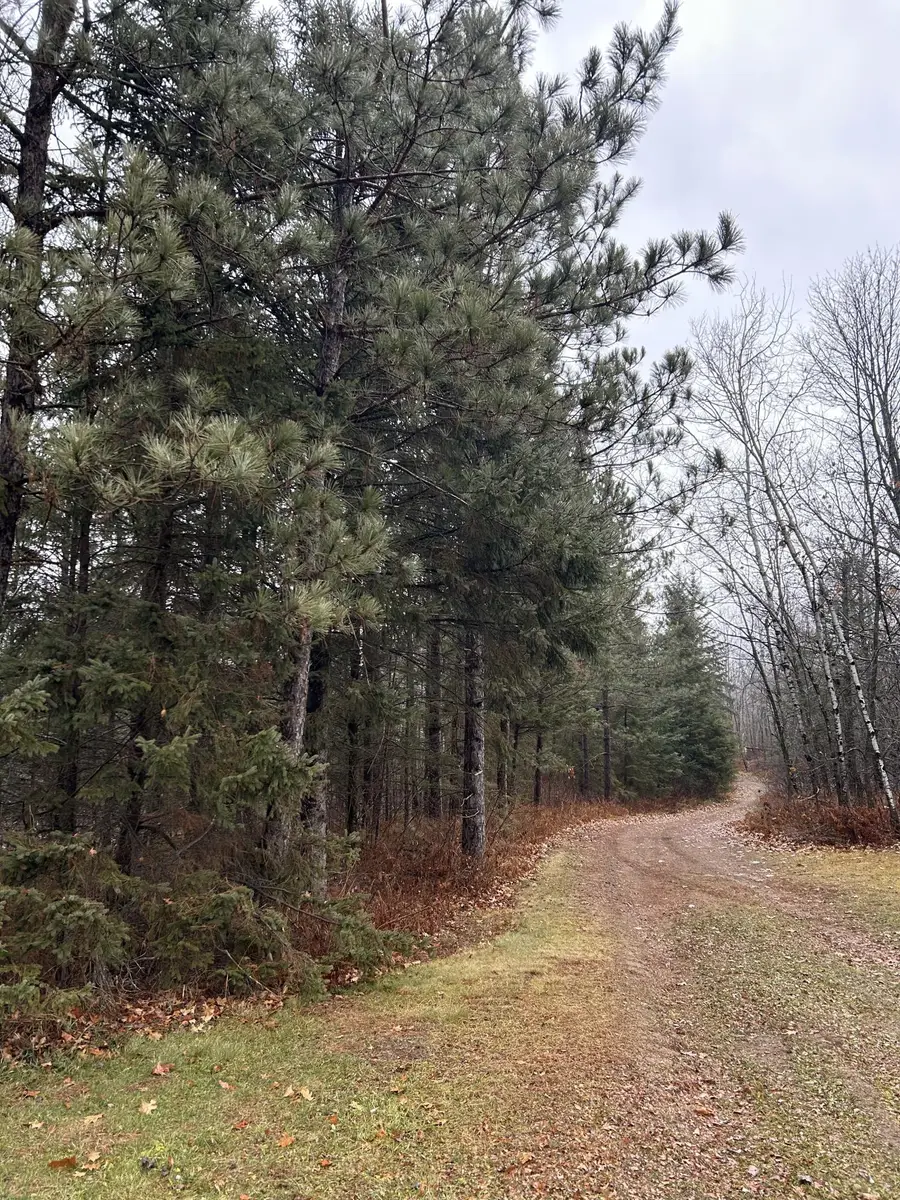 29326 County Road 1, Emily, MN 56447 - #2