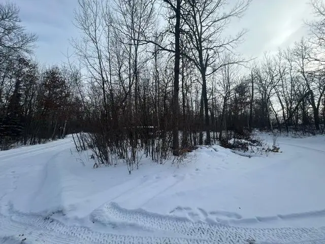 49128 Sandy Oak Drive, Deer River, MN 56636 - #3