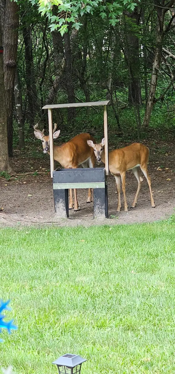 34644 Yak Street Nw, Princeton, MN 55371