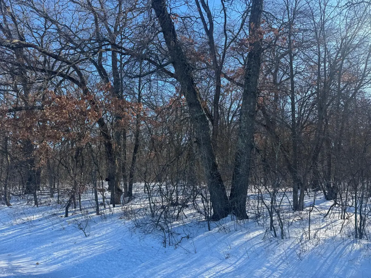 11xxx 313th Avenue, Princeton, MN 55371 - Image #1