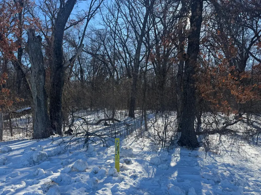 11xxx 313th Avenue, Princeton, MN 55371 - Image #3