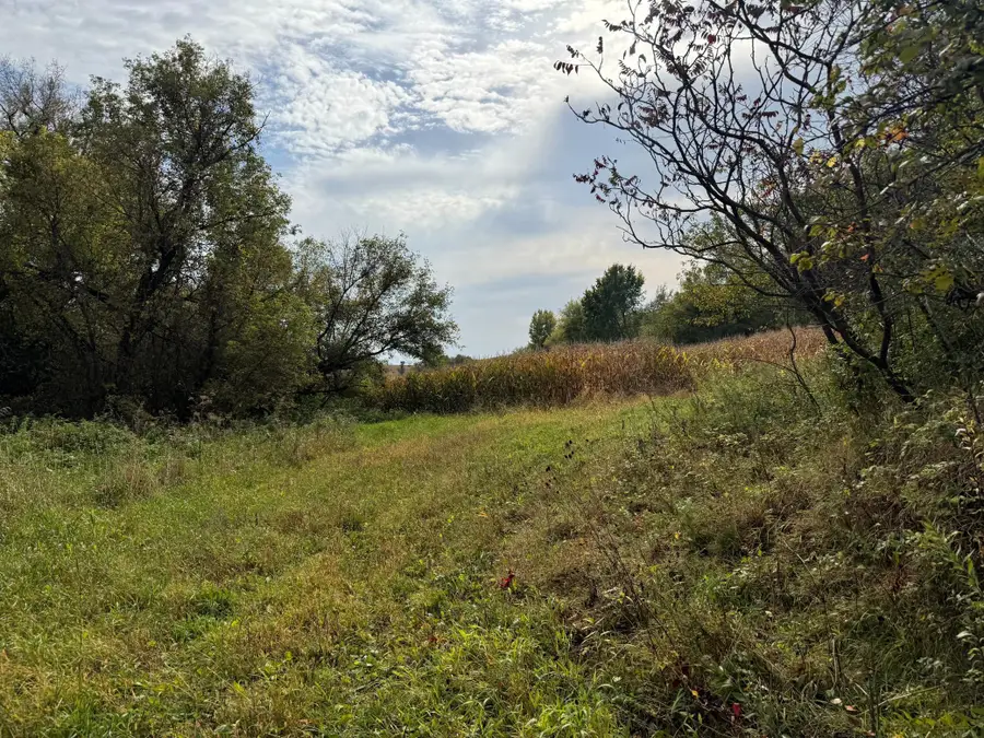 TBD County Road 3, Zumbro Falls, MN 55991 - Image #3