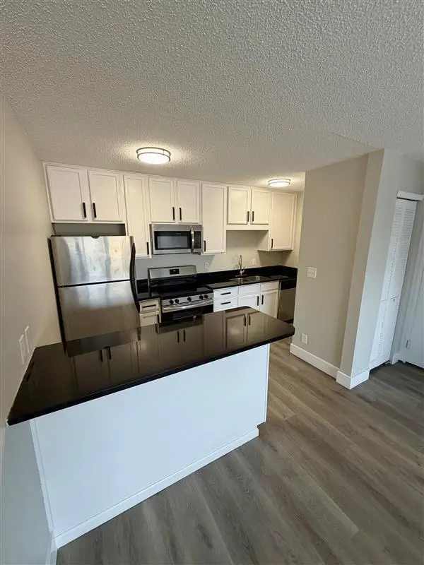 1800 Lasalle Avenue #302, Minneapolis, MN 55403 - #3