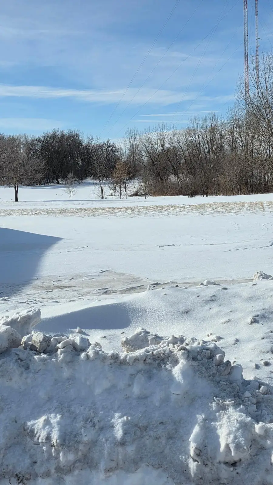 1721 Lower Trentwood Circle Ne, Willmar, MN 56201 - #2