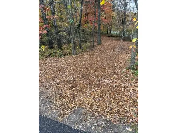 Lot 5 Tiger Street Nw, Zimmerman, MN 55398