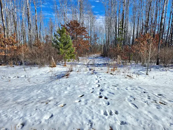 TBD Brush Lake Lane, Park Rapids, MN 56470