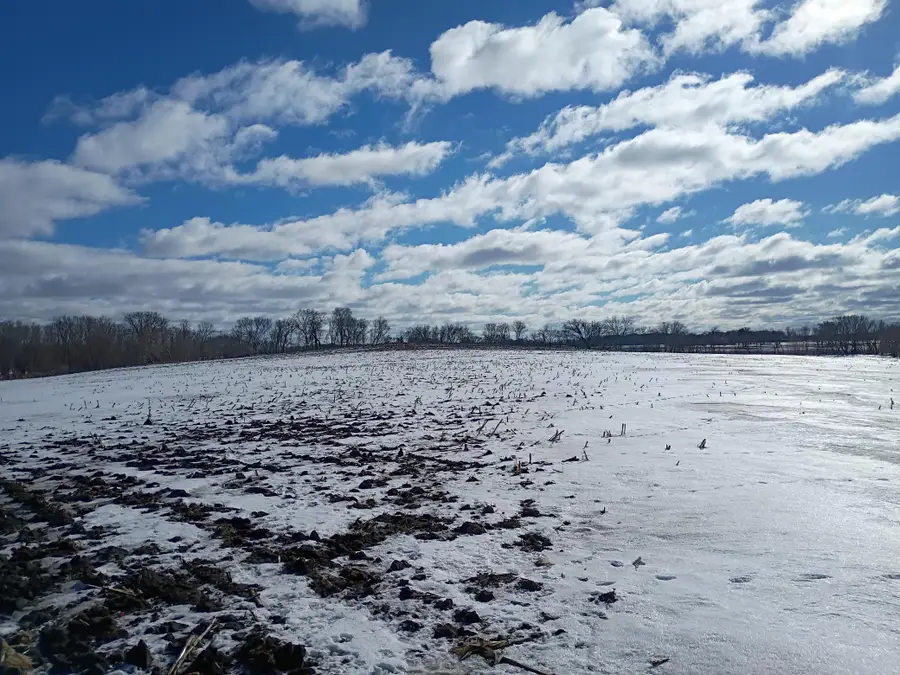 TBD & TBD County Rd. 8, Waverly, MN 55390 - #2