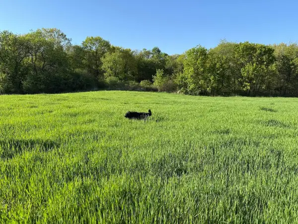 XXXXX Oxboro Ave N, Marine On Saint Croix, MN 55047