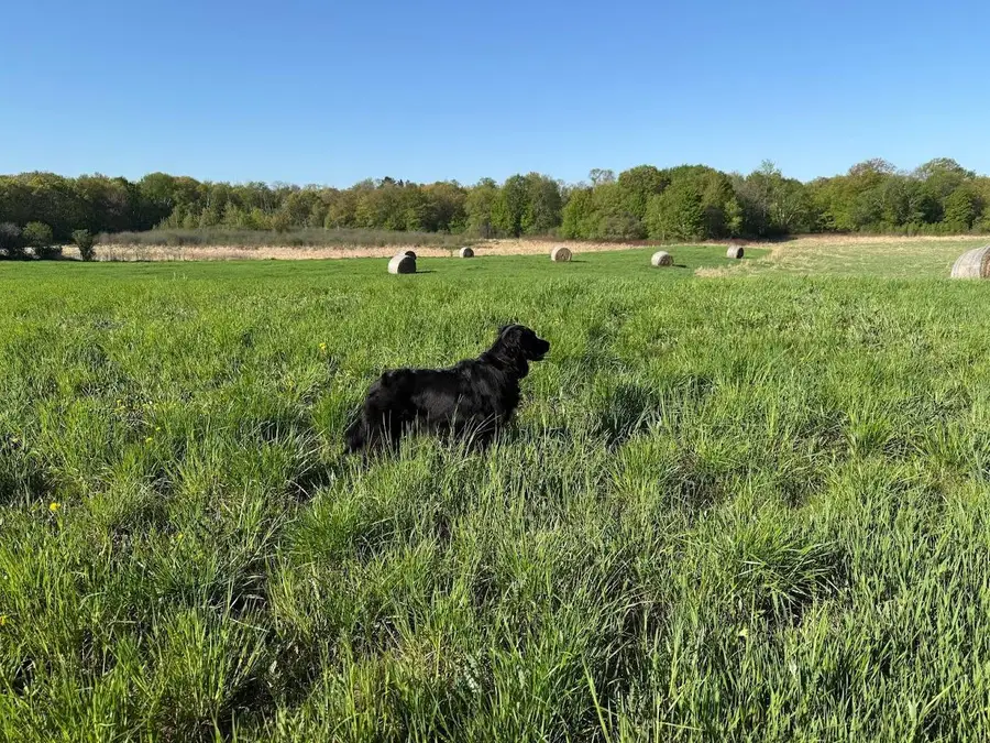 XXXXX Oxboro Ave N, Marine On Saint Croix, MN 55047 - #2