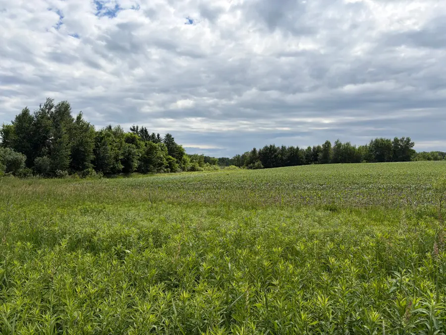 20XX Quail Street, Mora, MN 55051 - #3