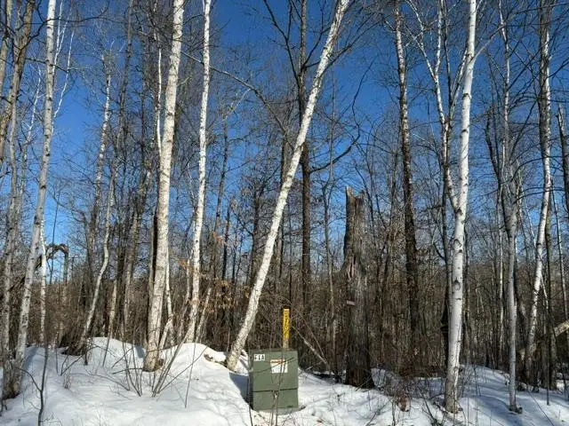 41174 Yellow Birch Lane, Emily, MN 56447 - #2