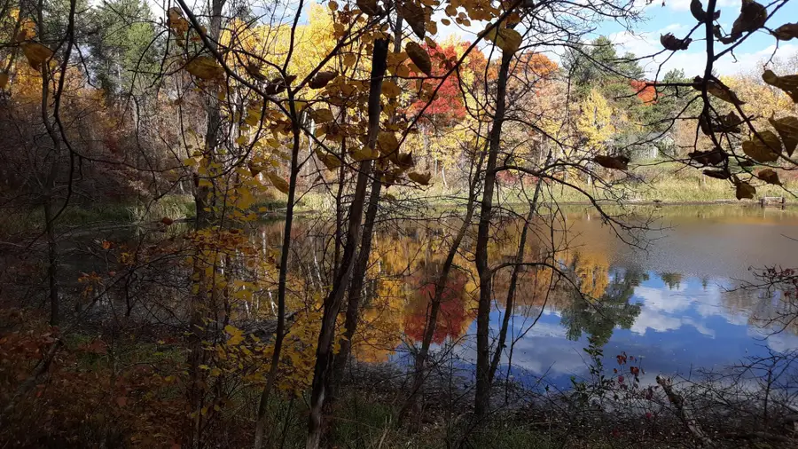 TBD Oriole Court, Browerville, MN 56438 - #2
