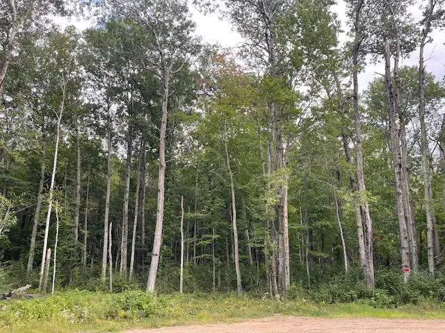 0 Levi Lane, Crosslake, MN 56442 - #3