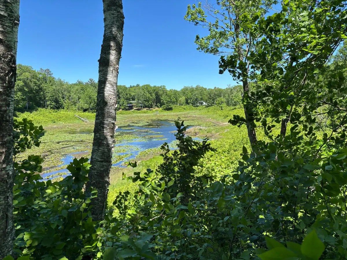 TBD Fawn Trail Ne, Longville, MN 56655 - #1