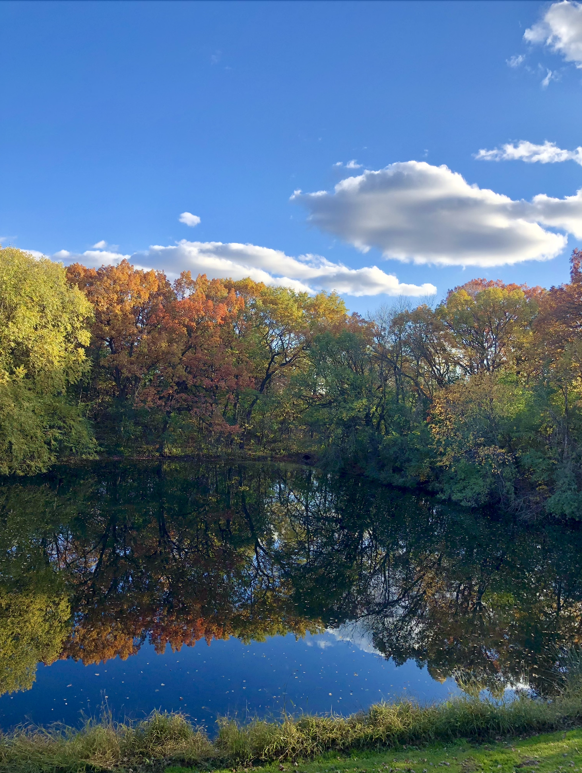 8717 Demontreville Trail N, Lake Elmo, MN 55042 - #1