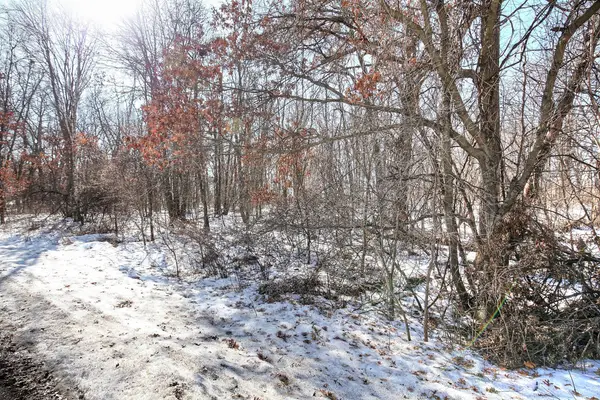 19062 Heather St Nw, Oak Grove, MN 55011