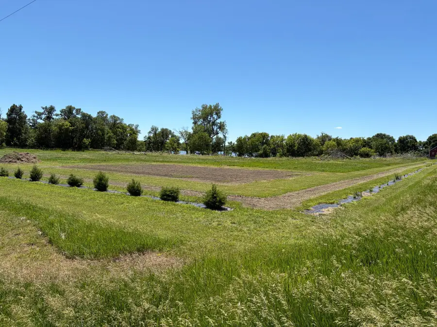 TBD Tripp, Fulda, MN 56131 - #3