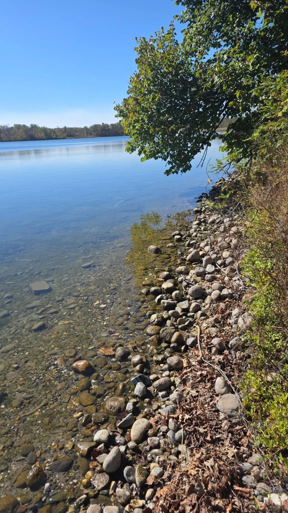 TBD 4/5 Lots 317th St, Underwood, MN 56586 - #1