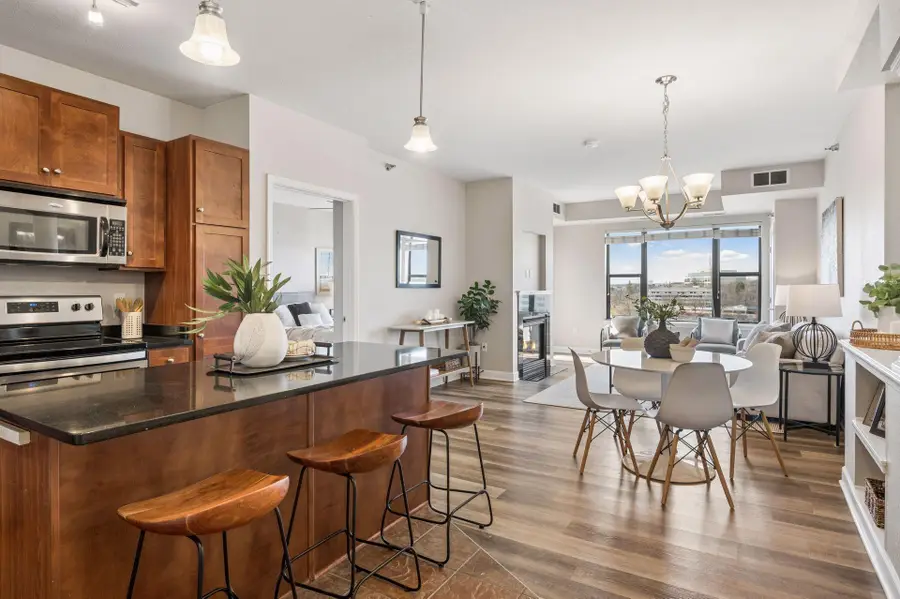 1155 Ford Road #513, Minneapolis, MN 55426 - #3