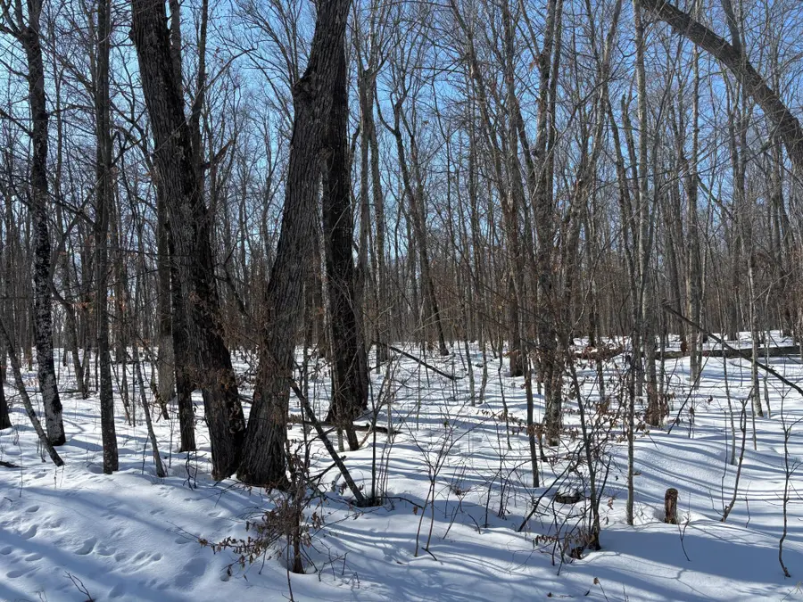 TBD 235th Place, McGregor, MN 55760 - #3