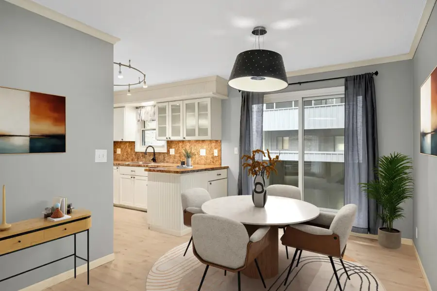 11450 Minnetonka Mills Road, Hopkins, MN 55305 - #3