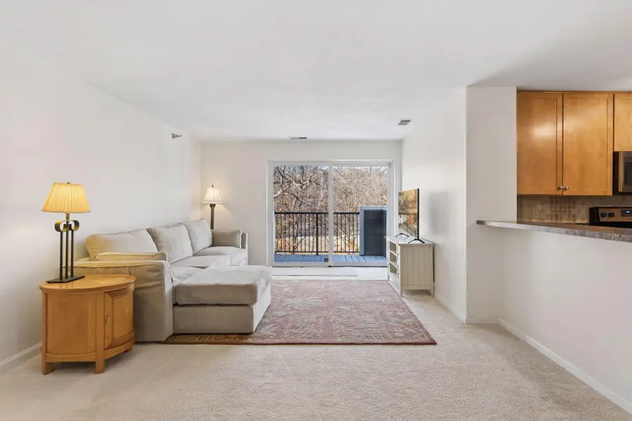 6050 Chasewood Parkway #202, Hopkins, MN 55343 - #3