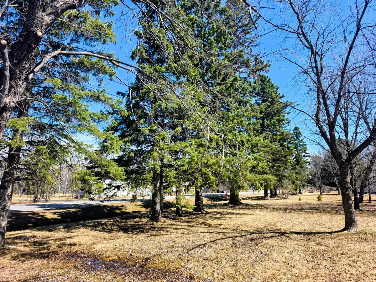 3672 County Rd 92 E, Ranier, MN 56668 - #1