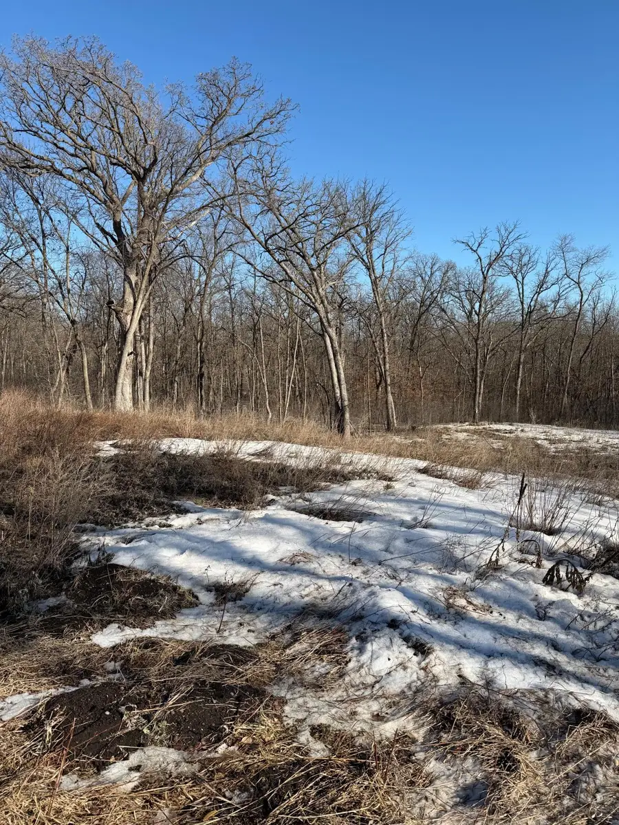 TBD N Fox Lake Lane, Detroit Lakes, MN 56501 - #3