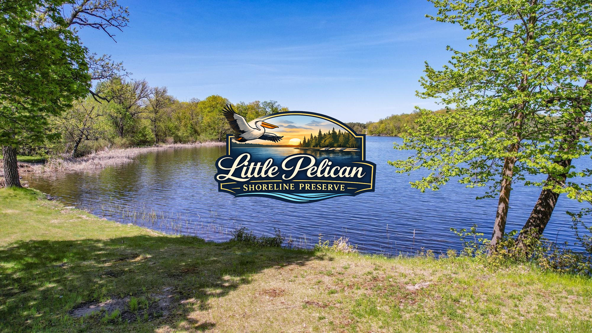 25819 Frieda Drive, Detroit Lakes, MN 56501 - #1