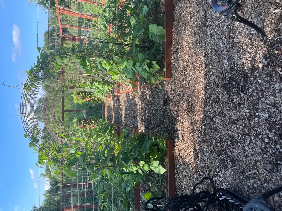 1863 164th Lane Ne, Ham Lake, MN 55304 - #3