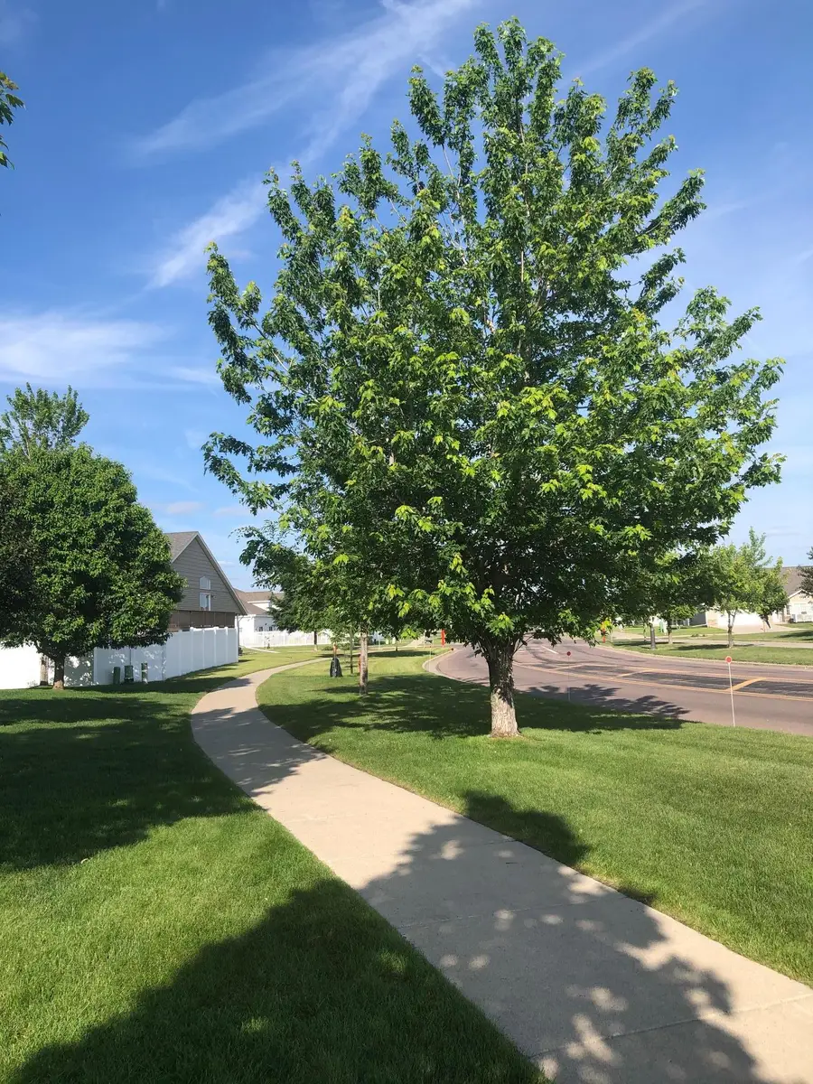 4788 Clock Tower Lane S, Fargo, ND 58104 - #3