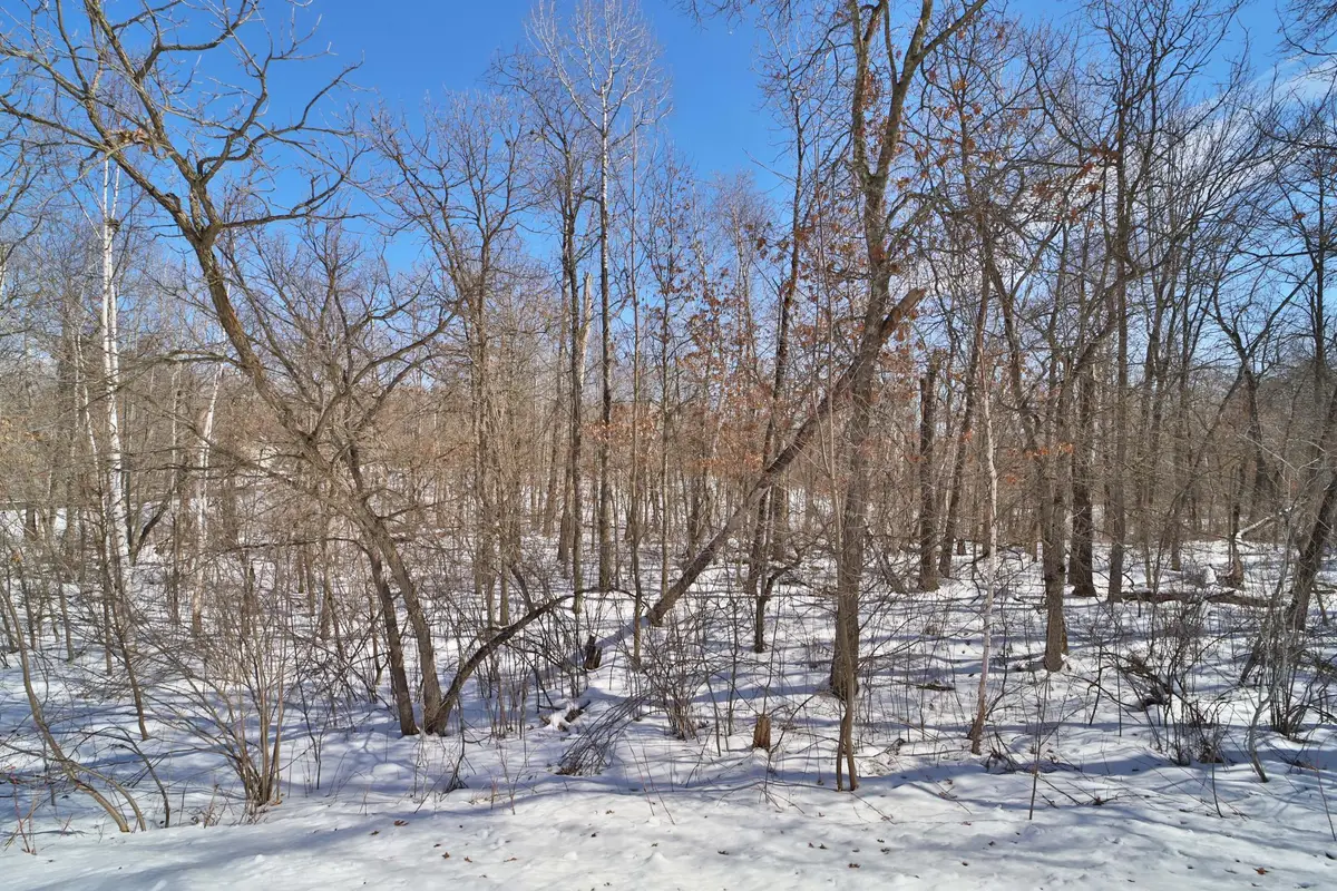 TBD Percheron Drive, Breezy Point, MN 56472 - #1