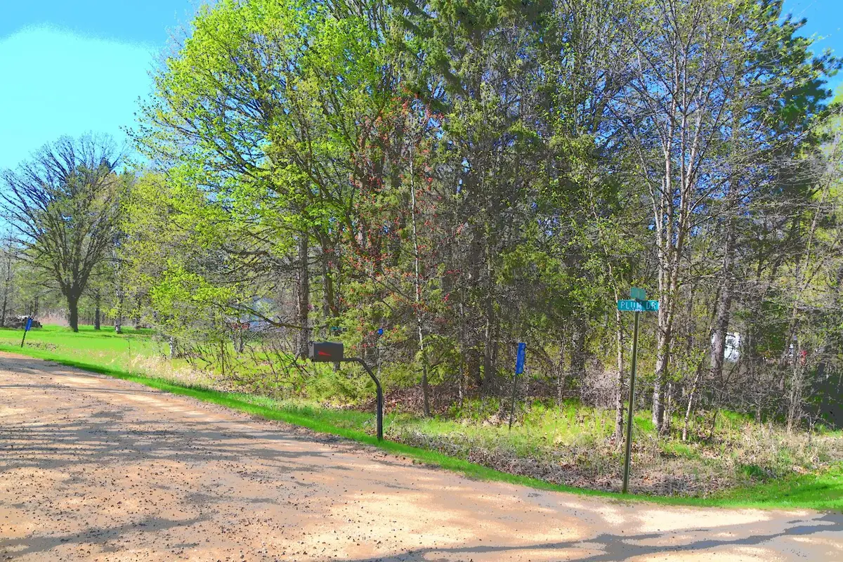 TBD Plum Drive, Browerville, MN 56438 - #1