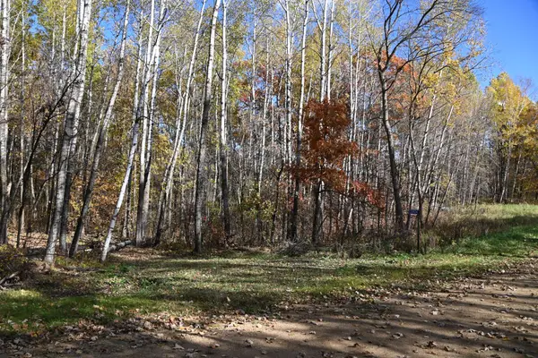 39924 Oriole Court, Browerville, MN 56438