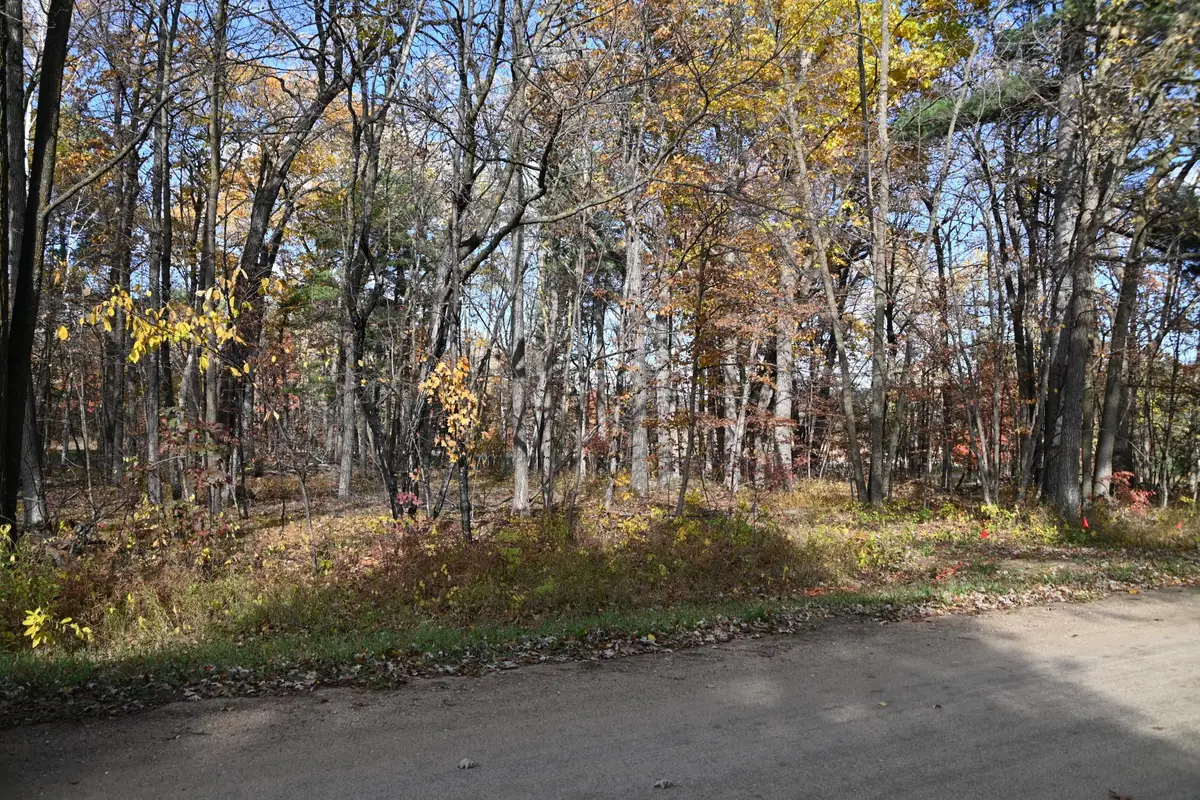 40889 Penelope Loop, Browerville, MN 56438 - #1