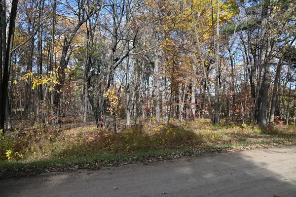 40889 Penelope Loop, Browerville, MN 56438