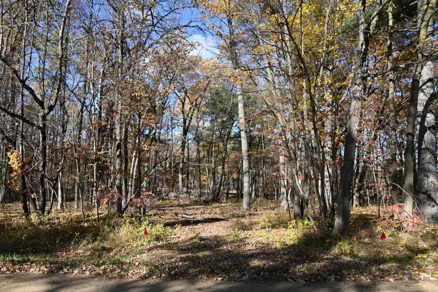 40889 Penelope Loop, Browerville, MN 56438 - #2