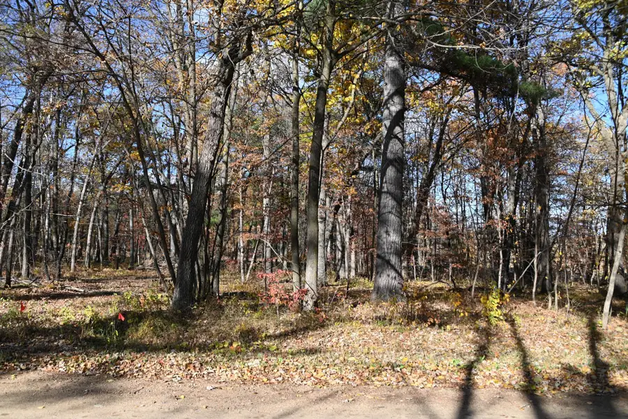 40889 Penelope Loop, Browerville, MN 56438 - #3