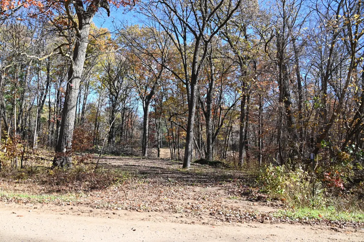 39884 Pine Island Pt Drive, Browerville, MN 56438 - #1