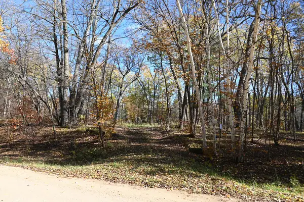 39906 Pine Island Pt Drive, Browerville, MN 56438