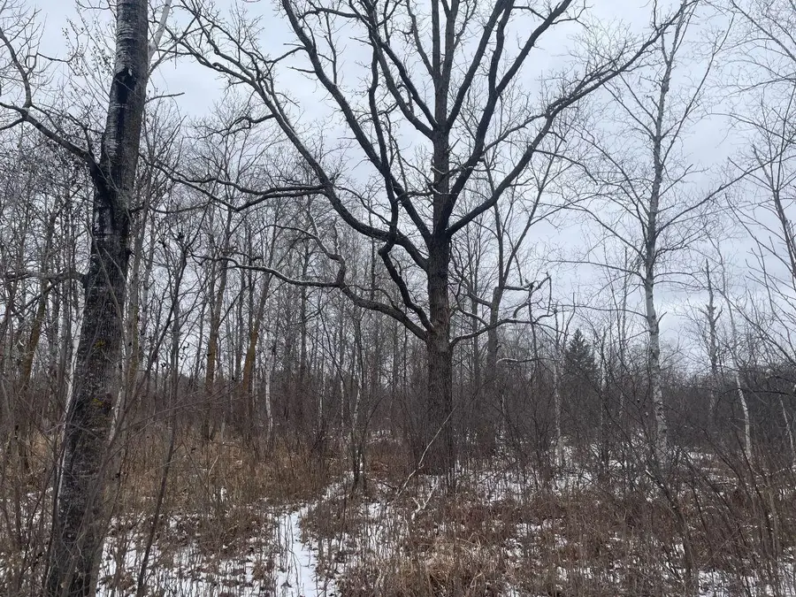 27XX 320th Avenue, Brook Park, MN 55007 - #3