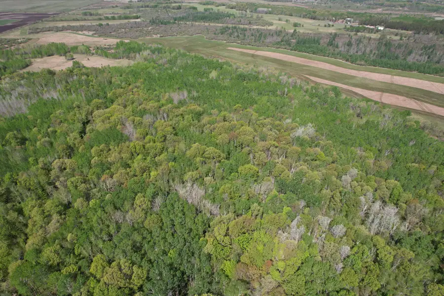 TBD County Road 14, Sebeka, MN 56477 - #2