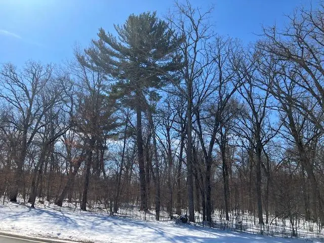 Lot 2 Sunrise Road, Harris, MN 55032 - #3