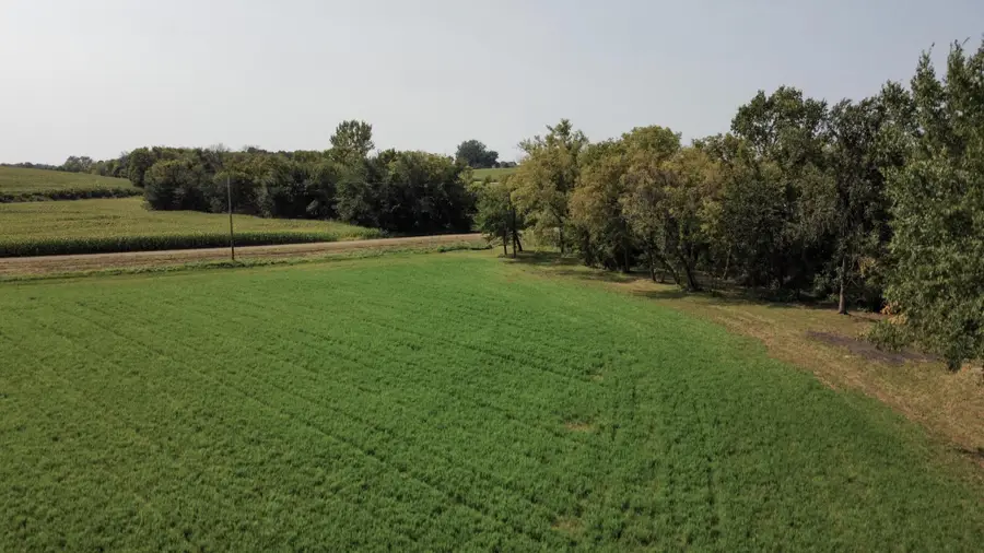 TBD 216th Ln, Henderson, MN 56044 - #3