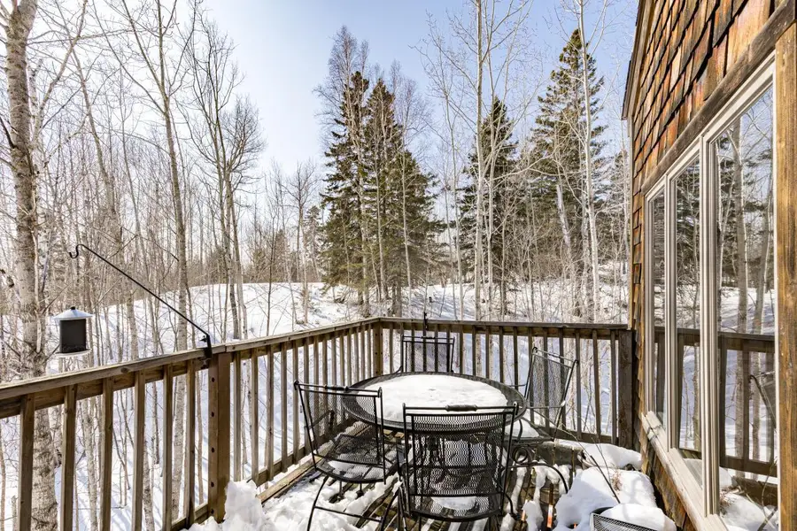 67 Snowshoe Trail, Tofte, MN 55615 - #2