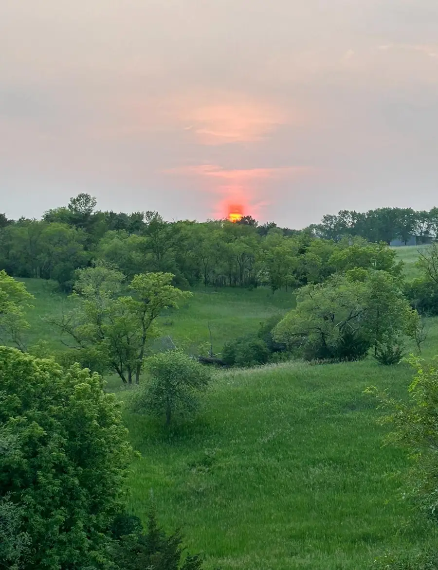 TBD Moore Street, Starbuck, MN 56381 - #2