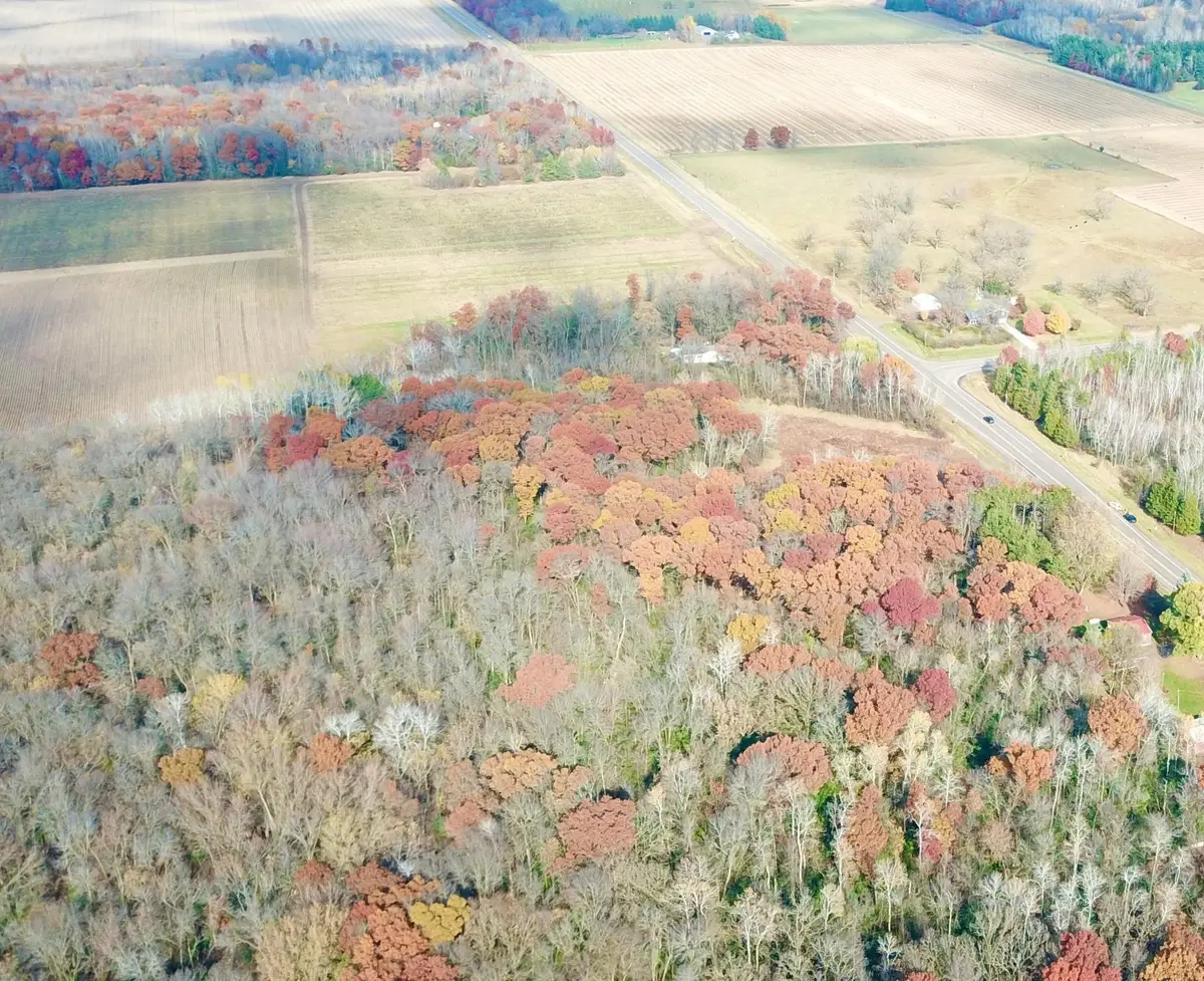 TBDx 165th Avenue Se, Santiago, MN 55319 - #1