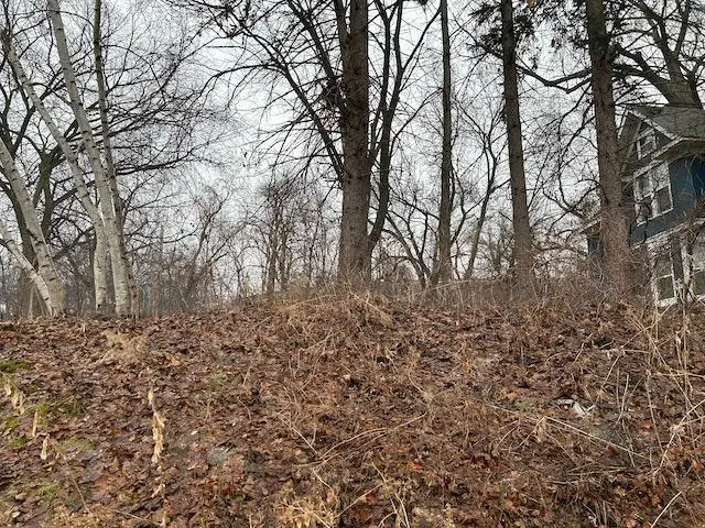 468 Curtice Street E, Saint Paul, MN 55107 - #2