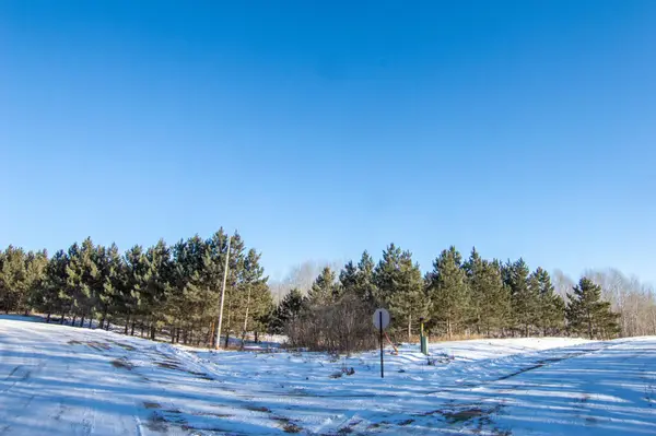 TBD 310th Street, Deer Creek, MN 56527