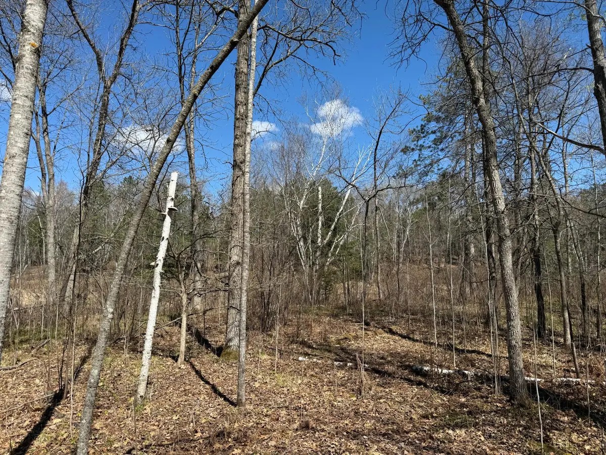 Lot 7 Block 1 Yellow Birch Ln, Emily, MN 56447 - #1